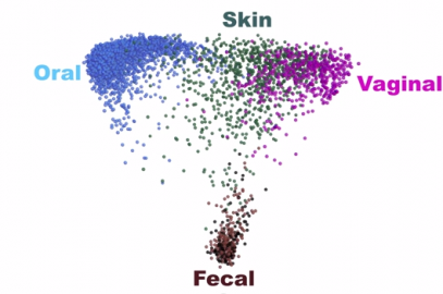 Gut ecosystem restoration via fecal transplantation