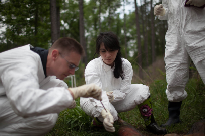 Could detectives use microbes to solve murders?