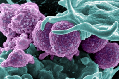 Rob Knight and Jack Gilbert RE: Earth Microbiome Project