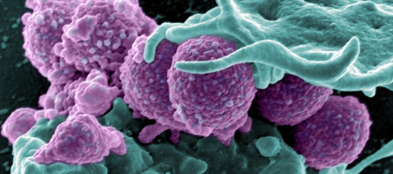 Rob Knight and Jack Gilbert RE: Earth Microbiome Project
