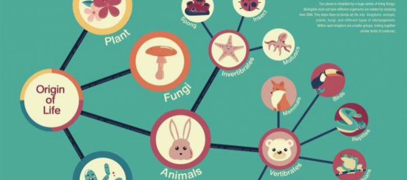 How are the bacteria in our guts related to each other? New technique provides insight