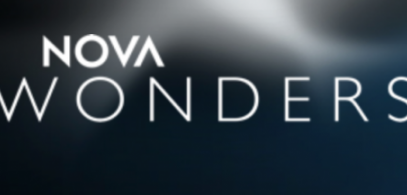 NOVA Wonders: What’s Living In You?