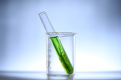 Algae shown to improve gastrointestinal health