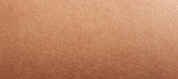 Your skin microbiome can be used to predict your age