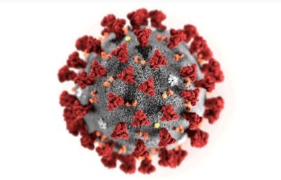 $350,000 Gift to UCSD to Create COVID-19 Epidemiological Tracking Study