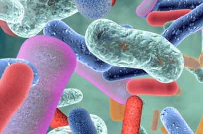 Study Reveals Connection Between Gut Bacteria and Vitamin D Levels