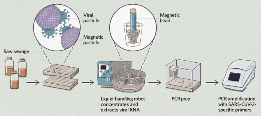 Sewage Sampling Robots Speed SARS-CoV-2 Detection