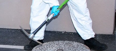 The newest disease detection tool for COVID and beyond: poop