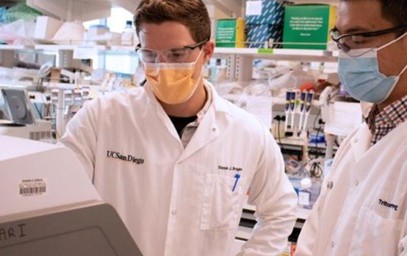 Researchers develop rapid testing tool for COVID-19