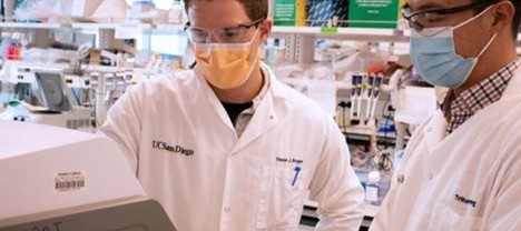 Researchers develop rapid testing tool for COVID-19