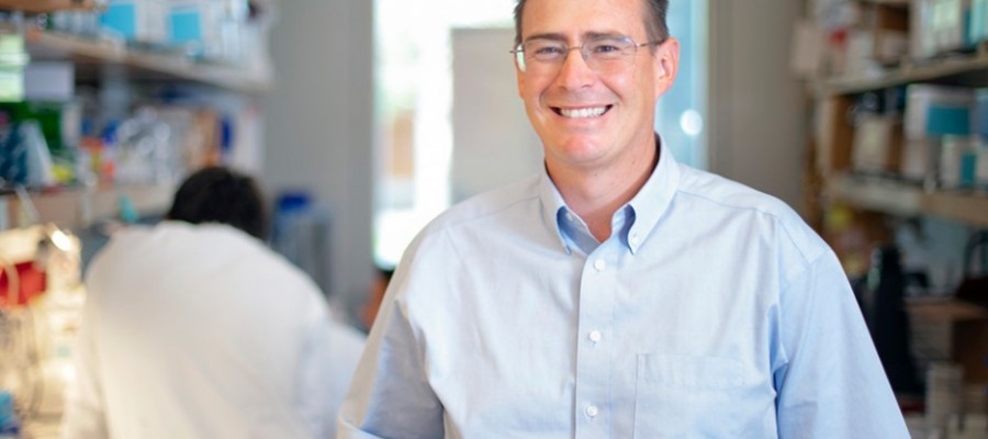 UC San Diego Ranked 8th Globally for Most Influential Researchers
