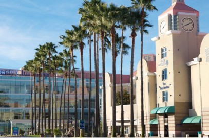 Wolfe Family Endowed Chair in Microbiome Research at Rady Children’s Hospital-San Diego