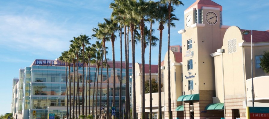 Wolfe Family Endowed Chair in Microbiome Research at Rady Children’s Hospital-San Diego