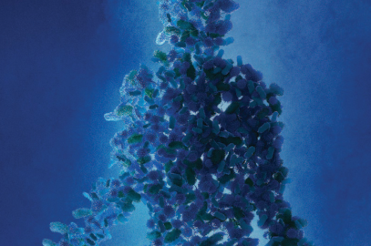 Pharming the Microbiome