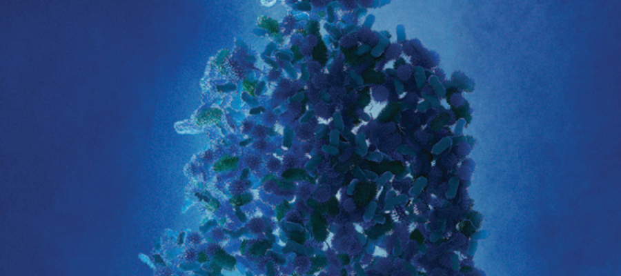 Pharming the Microbiome
