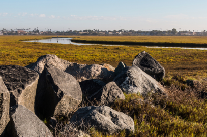 UC San Diego Receives $15M Cryptocurrency Donation, Largest for Research on Airborne Pathogens