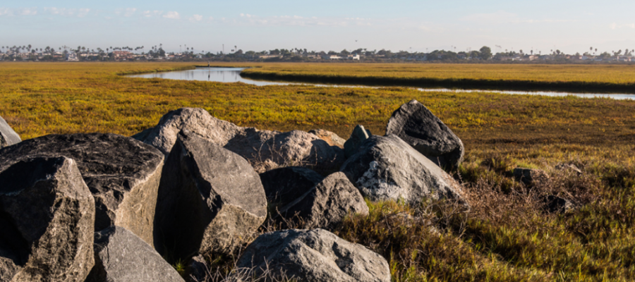 UC San Diego Receives $15M Cryptocurrency Donation, Largest for Research on Airborne Pathogens