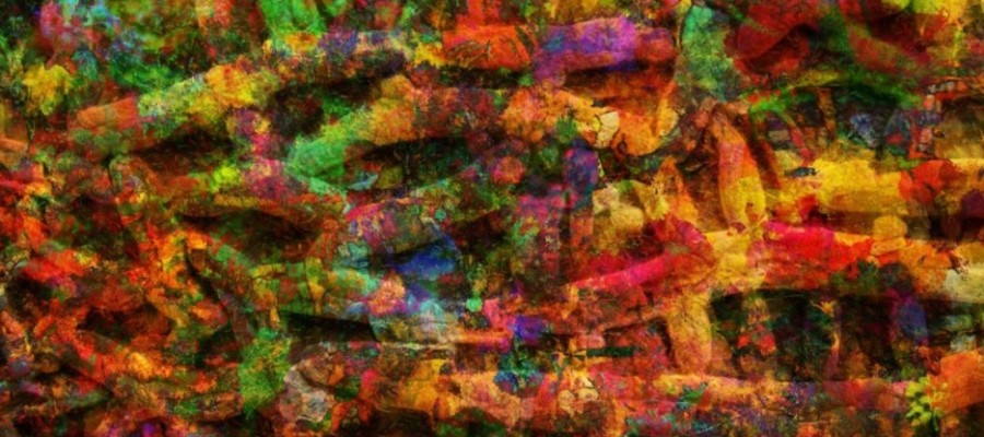 The Biggest Microbiome Study Sheds Light on Shared Health Risks