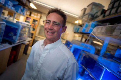 UC researchers among the most influential in the world, according to Clarivate’s 2023 Highly Cited Researchers list