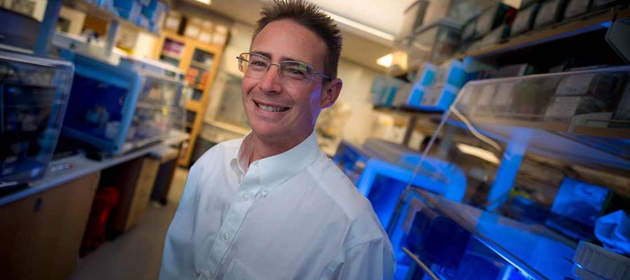 UC researchers among the most influential in the world, according to Clarivate’s 2023 Highly Cited Researchers list